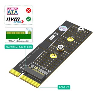 新款M.2 轉PCI-E 4X(立式安裝)轉接卡M.2 NVME轉PCI-E 4X轉接卡