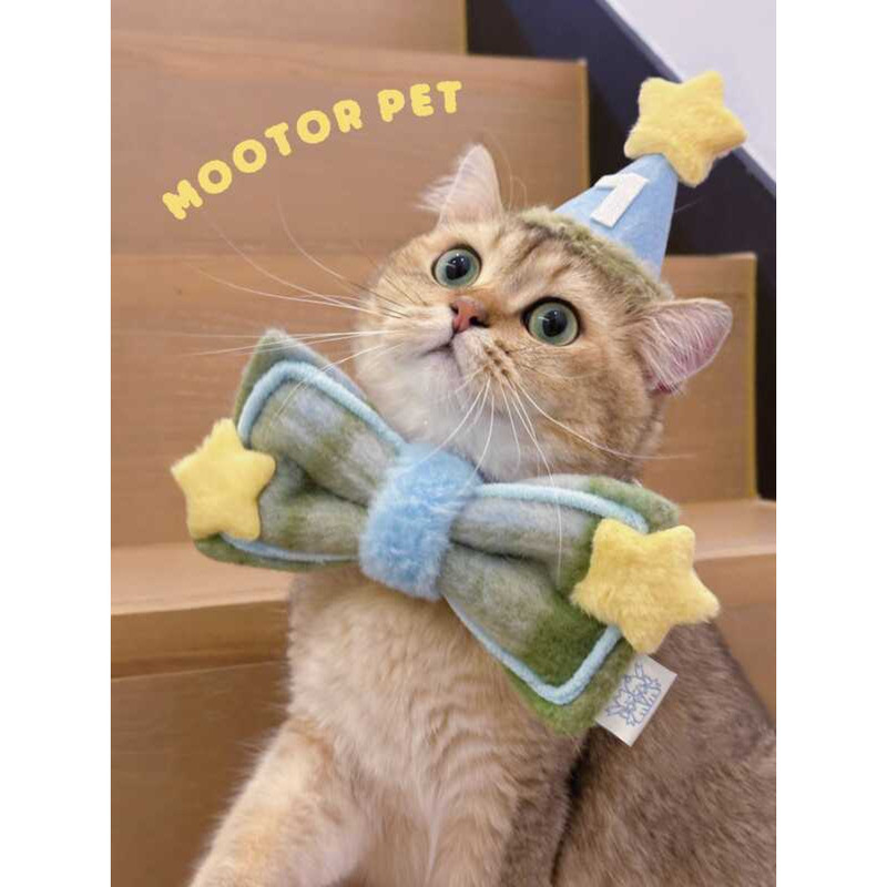 萬聖節寵物裝扮 寵物服飾 搞怪裝扮 寵物裝扮 MOOTOR·寵物貓咪狗狗生日主角套裝·帽子·口水巾 f0d
