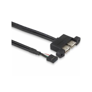 ♞,♘相容華擎 DESKMINI USB 數據線 USB2.0 埠附加數據線,適用於 DESKMINI 2XUSB2.