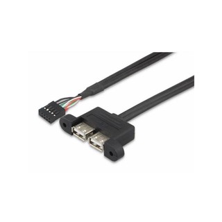 ♞,♘相容華擎 DESKMINI USB 數據線 USB2.0 埠附加數據線,適用於 DESKMINI 2XUSB2.