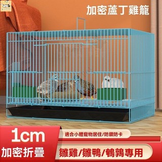 潘多拉寵物加密折疊 蘆丁雞籠子 小黃鴨/鵪鶉專用籠 飼養籠 育雛箱 迷你雞籠 小寵物籠 觀賞籠 快速摺疊好收納