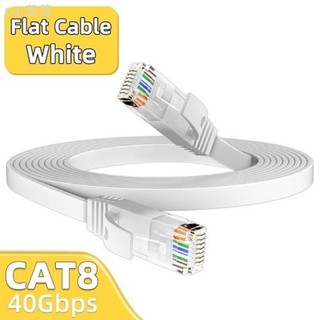♞,♘,♙CAT6 rj45 以太網電纜 10gbps高速網路電纜 戶外局域網電纜