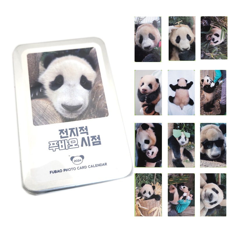 [熊貓寶寶福寶] 2024年錫盒日曆照片卡(everland Zoo Fu bao 오)