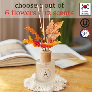 Aspasia“秋季感性”花蘆葦擴香器100ml+花邊杯墊套裝/6個人造樹枝選擇1個
