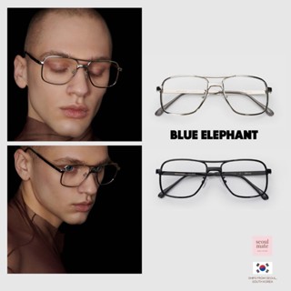 [來自韓國] BLUE ELEPHANT Zinna 合金鏡框眼鏡 2 種顏色:黑色和銀色