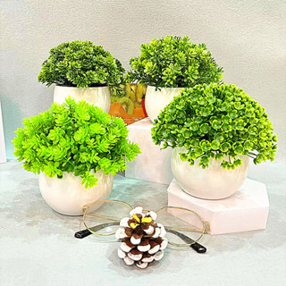 洛陽牡丹 模擬盆栽植物草紙槳半球迷你裝飾圓球盆景人造綠植家居裝飾