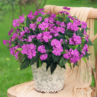 洛陽牡丹 戶外7叉人造鳳仙花束花卉 室外用絲綢仿花 鳳仙花植物裝飾室內花盆廚房花盆和陽臺裝飾品