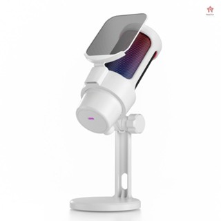 USB 遊戲麥克風電腦麥克風套件 RGB 照明帶三腳架心形模式拾音一鍵靜音和增益旋鈕,用於遊戲/會議/直播/錄音/影片插