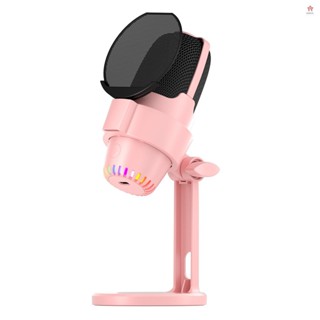 USB RGB 麥克風電腦麥克風套件,帶三腳架降噪即插即用一鍵靜音,用於遊戲/會議/直播/錄音/影片相容 iOS/And