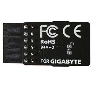Tpm 2.0 模組適用於技嘉 GC-TPM2.0 SPI TPM 模組(12 針 12-1)
