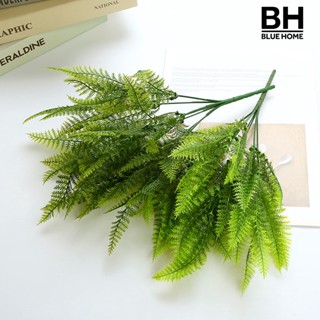 【藍家家居】49目波斯草蕨類仿真植物綠植盆栽裝飾塑膠假草