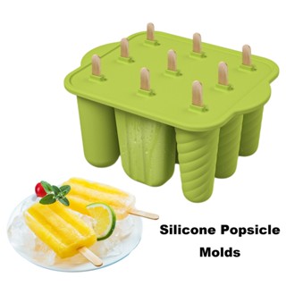 洛陽牡丹 自製冰棒雪糕模具 9連霜淇淋DIY冰模帶木根雪糕模具