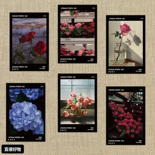 ins風牆面裝飾卡片☀拍照背景 20張花間爛漫卡片ins風氛圍感裝飾牆面寢室臥室房間牆貼明信片 明信片 藝術卡片