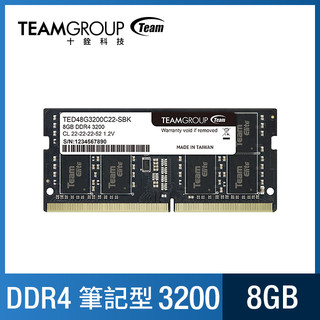 TEAM十銓 ELITE DDR4 3200MHz NB記憶體 8GB TED48G