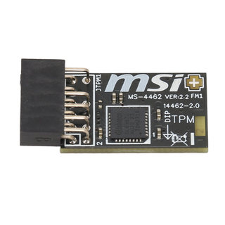 Fayshow01 TPM2.0 模組 TPM SPI 12Pin 加密安全與 SLB 9672 用於 MSI 主機板風