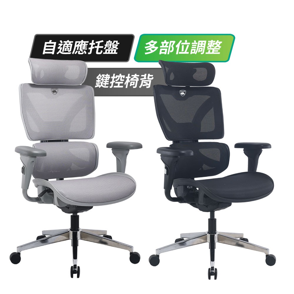 RGAINS RS900 人體工學透氣網椅 電腦椅 辦公椅 本島免費宅配不含組裝 煙燻灰 炭墨黑 現貨 廠商直送