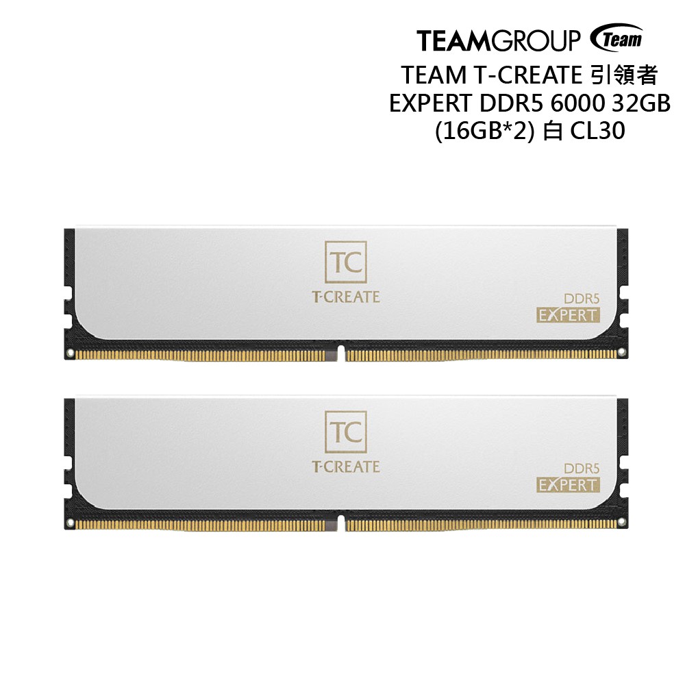 十銓 引領者DDR5 6000 32GB(16Gx2) CL30 桌上型超頻記憶體 廠商直送