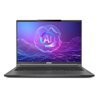 MSI微星 A3XVGG-097TW 16吋筆電灰(R AI 9/32GB/2TB/8G獨顯) 廠商直送