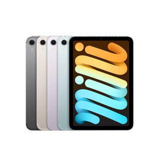 Apple iPad Mini 7 8.3吋 256GB WiFi 2024版 A2993 美版原廠貨 廠商直送