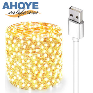【蝦皮直營】AHOYE 防水LED裸燈珠燈串 10米100燈 (USB供電) 戶外燈條 燈飾 裝飾燈 銅線燈 氣氛燈