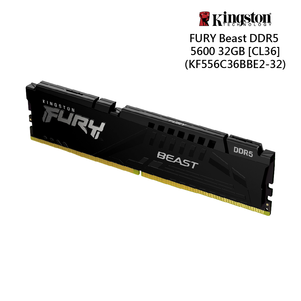 金士頓 FURY Beast 獸獵者 DDR5 5600 32GB 桌上型超頻記憶體 廠商直送