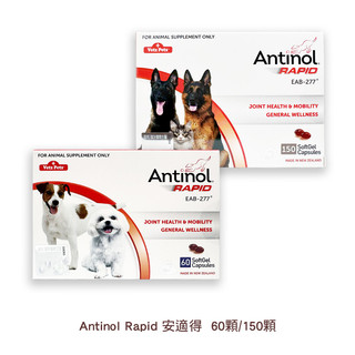 【蝦皮直營】Antinol Rapid 安適得 60顆/150顆 犬貓適用 寵物保健 關節保健 皮膚保健 營養品