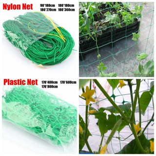 1 件裝園林植物攀爬網塑膠尼龍網牽牛花花藤網支撐種植架格子網