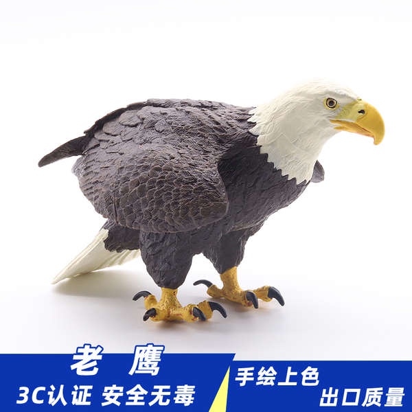 大號仿真老鷹鳶鷂婆白頭鷹猛禽玩具模型野生動物飛禽鳥類擺件