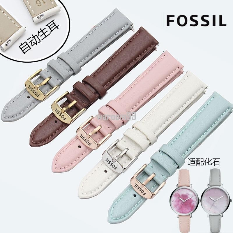 【下單送工具FA】Fossil化石手錶帶真皮女適配化石ES4338 ES4385 ES3843手錶帶14mm