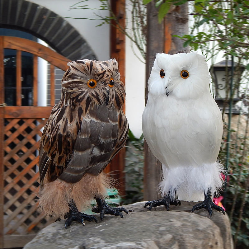 新款熱賣仿真貓頭鷹模型擺件小貓頭鷹公仔玩偶仿真動物鳥類羽毛玩具裝飾品