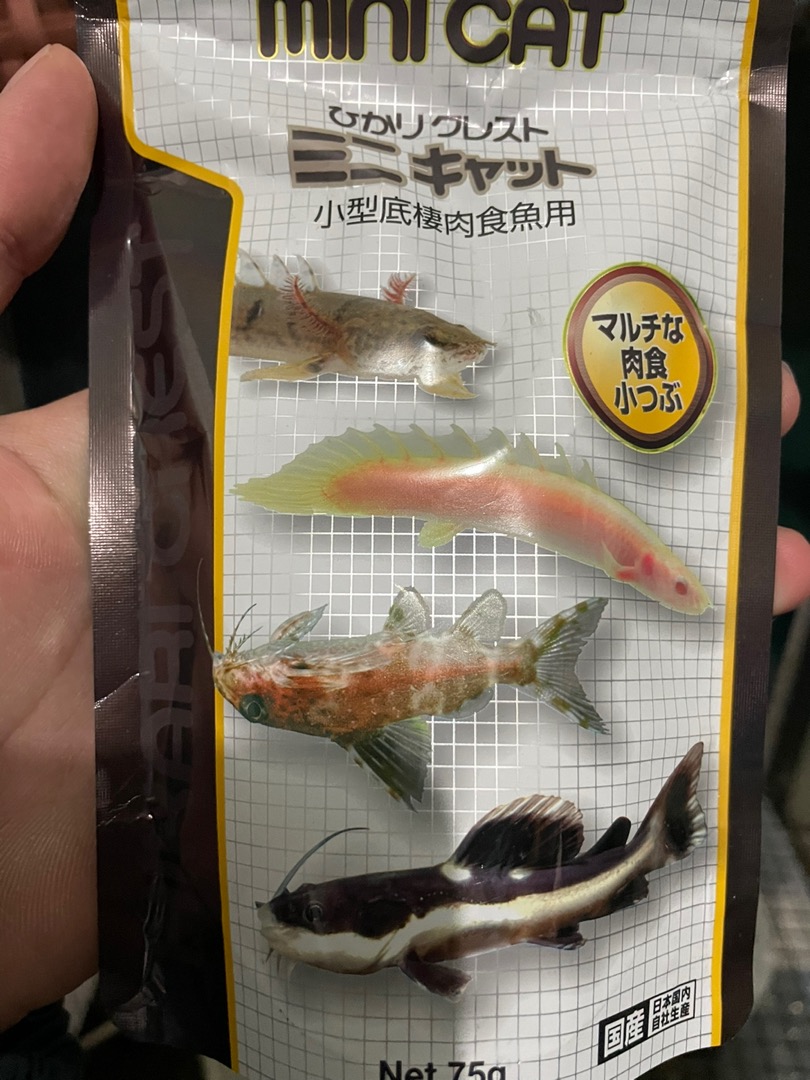 高夠力hikari 小型肉食底棲魚飼料 75g 沉水性 異形鴨嘴小恐龍鼠魚金恐龍 蝦皮購物