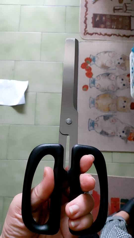 韓國peace Korea 好料剪刀 好勢露營 韓國原裝進口半月狀烤肉剪刀廚房剪刀料理好工具 蝦皮購物