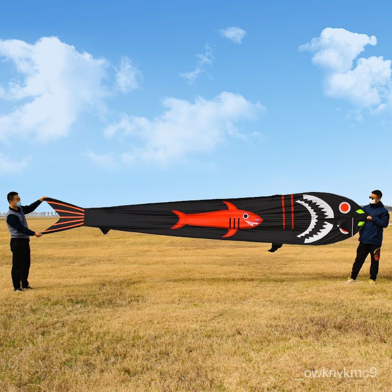 風箏 新款銀鱗鯉魚七彩魚大金魚大鯉魚風箏 大型風箏 綫輪風箏