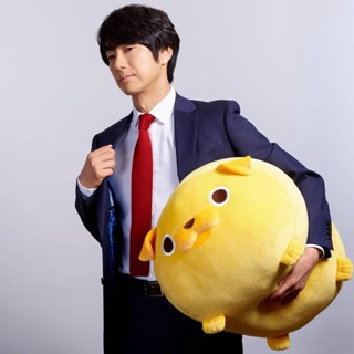 ✨門市熱銷✨日系 可愛娃娃 抱枕娃娃 八哥犬娃娃 抱枕娃娃 絨毛娃娃 狗娃娃 卡通公仔 小娃娃 玩偶抱枕 睡覺抱枕 禮物