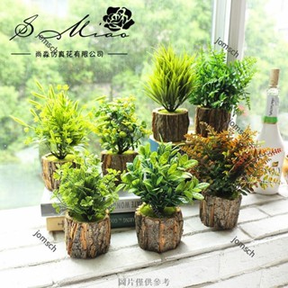 臺灣出貨 仿真植物盆栽 室內裝飾 居家裝飾 模擬綠植 仿真植物盆景 人造植物裝飾 模擬樹皮盆景 模擬綠植盆景 辦公室盆栽