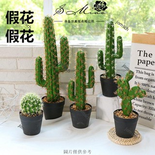 臺灣出貨 免運 仿真植物 仙人掌盆景 餐桌擺件 客廳裝飾 辦公桌盆栽 模擬多肉植物 模擬綠植 造型仙人掌盆栽 仙人掌盆景