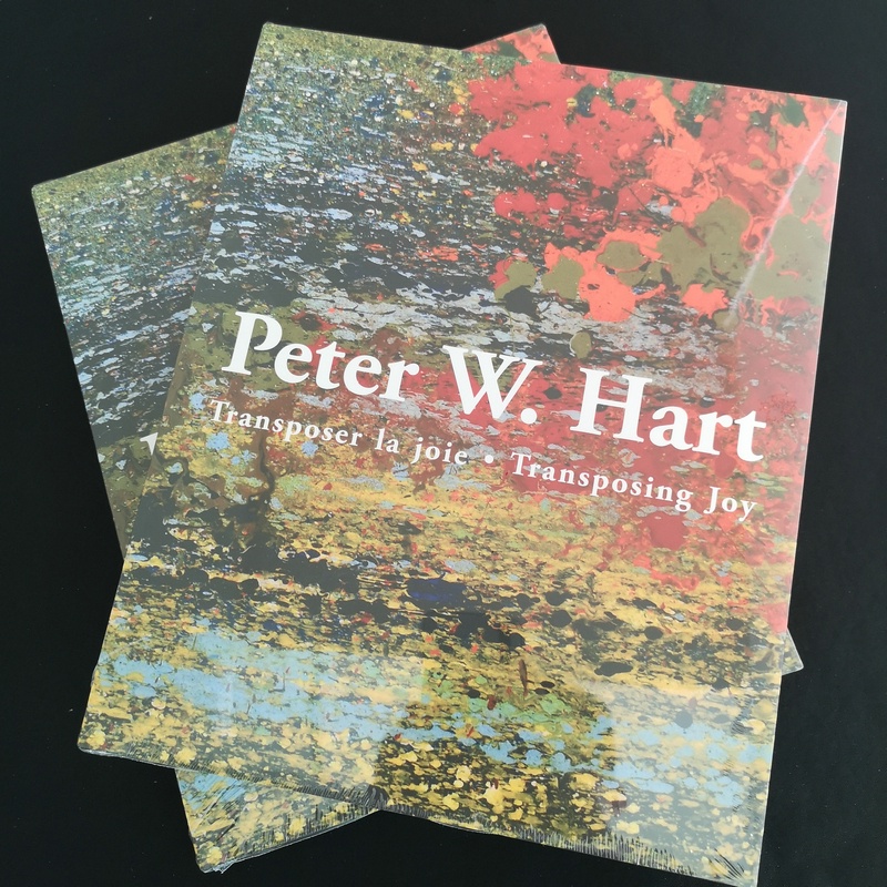 正版【現貨】 Peter W.Hart 向日葵抽象油畫當代藝術 英德雙語