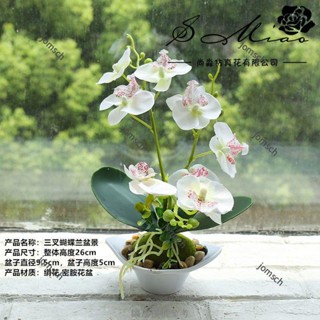 臺灣出貨 免運 模擬蝴蝶蘭 蝴蝶蘭盆景 仿真花 創意 室內裝飾 餐桌 客廳 擺件 仿真植物 人造花 辦公室小盆景 盆景