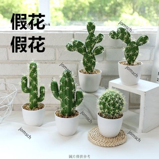 臺灣出貨 免運 模擬仙人掌盆景 模擬多肉植物 餐桌擺件 客廳裝飾 仿真植物盆栽 模擬綠植 模擬仙人球 小盆栽 辦公室裝飾