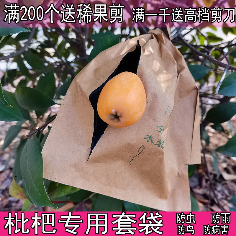 枇杷專用套袋枇杷袋子芒果套袋芒果袋子果袋水果套袋果袋子防蟲鳥