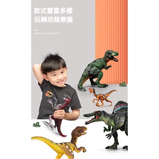 大號恐龍玩具模型 仿真動物 霸王龍套裝 兒童蛋三角龍塑膠恐龍玩具 兒童玩具