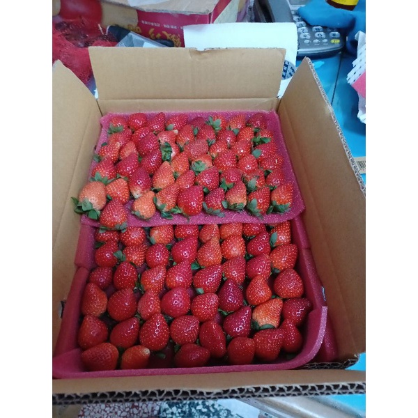 【林賢農場】【😍降價】【益菌無毒新鮮草莓1～4號果】【一箱下單區－冷藏運費160元】