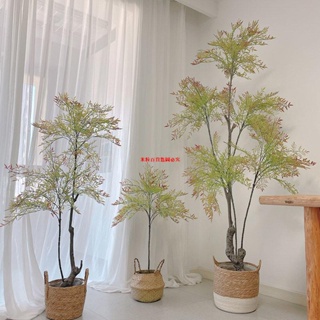 【米粒優選】仿真綠植盆栽大型南天竹假綠植裝飾假樹仿真樹客廳落地裝飾擺件