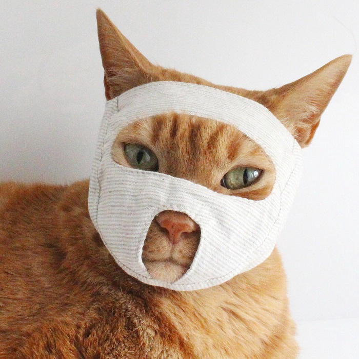 貓咪口罩 貓咪臉罩 寵物口罩 防咬防舔 貓咪嘴套 透氣猫口罩 貓咪術後恢复口罩 洗貓袋 貓咪束縛口罩 洗澡