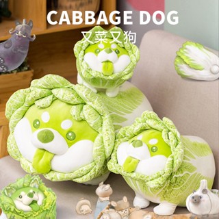✨門市熱銷✨大娃娃 大玩偶 大抱枕 大公仔 可愛娃娃 動物娃娃 抱著娃娃 安撫娃娃 絨毛娃娃 布娃娃 布偶 長抱枕
