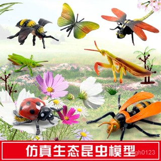 【臺灣優選】崑蟲玩具模擬動物套餐海底動物模型螞蟻蜘蛛蜜蜂軟膠兒童恐龍玩具