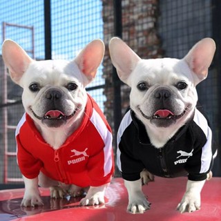 💕💕秋冬款加絨狗狗新款衛衣小型犬狗狗衣服 小型犬衣服 小狗衣服 毛小孩衣服 狗狗保暖衣 寵物衣服小型犬秋冬服飾寵物用品D