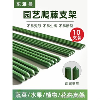 現貨免運﹊花架爬藤架月季花卉支撐桿葡萄園藝支架固定植物黃瓜架子庭院戶外