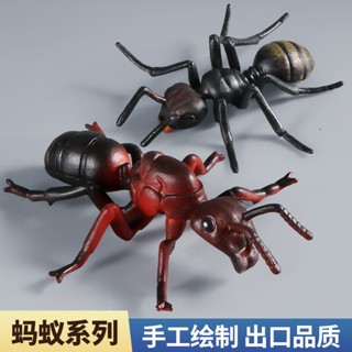 【現貨】實心模擬螞蟻紅螞蟻模型 塑膠昆蟲動物整蠱玩具 兒童科教早教男孩女孩寶寶認知擺件