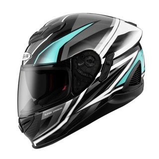 任我行騎士部品 ZEUS ZS-1600 AK10 透明碳纖維/灰 全罩 碳纖維 輕量化